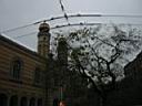 IMG_3270.JPG