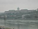 IMG_3428.JPG