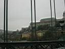 IMG_3434.JPG