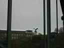 IMG_3435.JPG