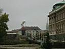 IMG_3459.JPG