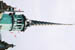 CNV00000107