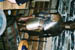 CNV00000142