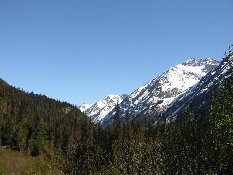 img 3897