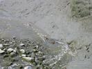 IMG 4224