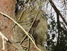 IMG 4271