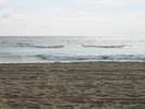 IMG 4960
