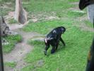 IMG 5122