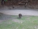IMG 5197