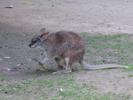 IMG 5199