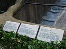 IMG 5262
