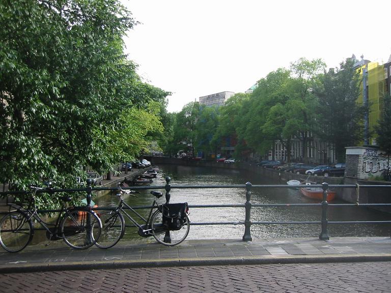 IMG 6277