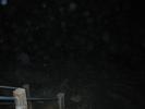 IMG 4679