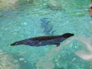 IMG 4741