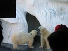 IMG 4796