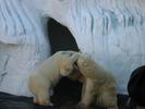 IMG 4797