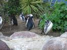 IMG 4819