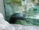 IMG 4836