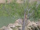 IMG 4556