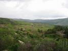 IMG 4587