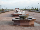 IMG 0779 1