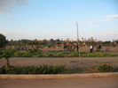 IMG 0780