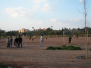 IMG 0781 1