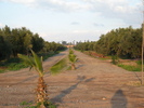 IMG 0782 1
