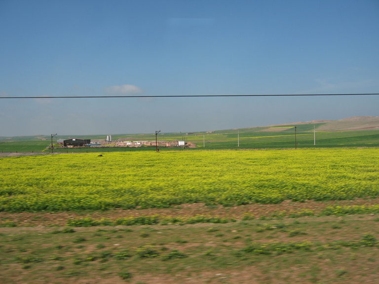 IMG 0914