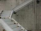 IMG 4462