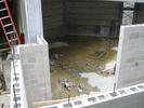 IMG 4368