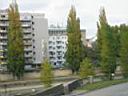 IMG_3556.JPG