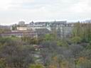 IMG_3565.JPG