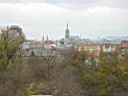IMG_3567.JPG